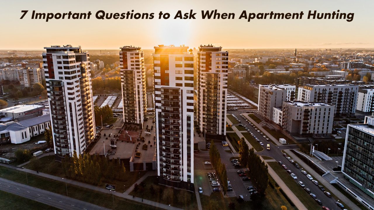 7 Important Questions to Ask When Apartment Hunting