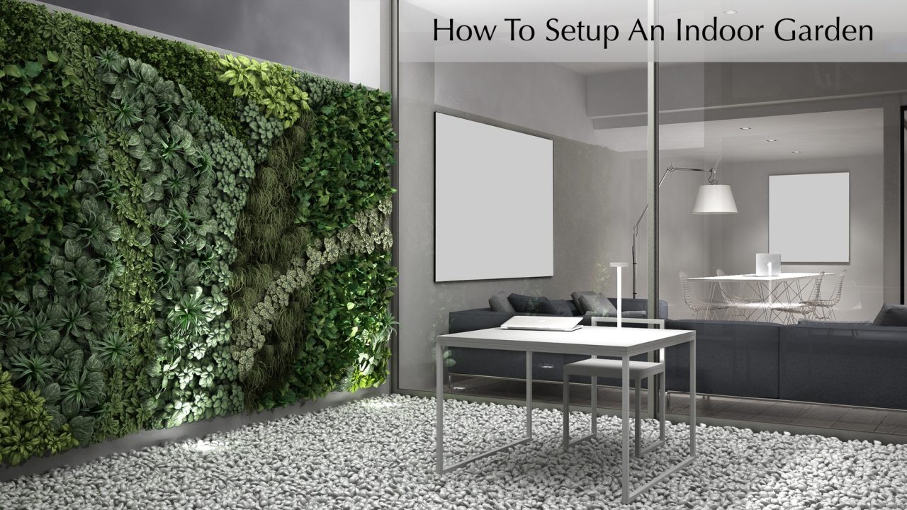 How To Setup An Indoor Garden