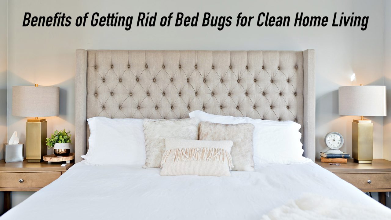 Benefits of Getting Rid of Bed Bugs for Clean Home Living