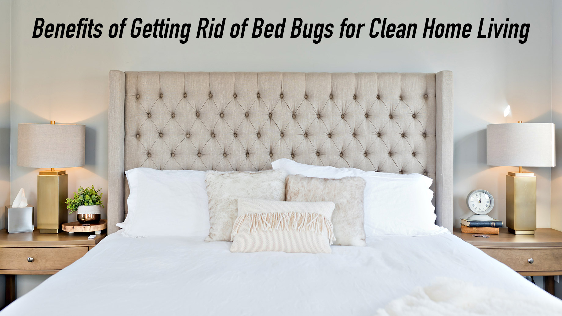 Benefits of Getting Rid of Bed Bugs for Clean Home Living