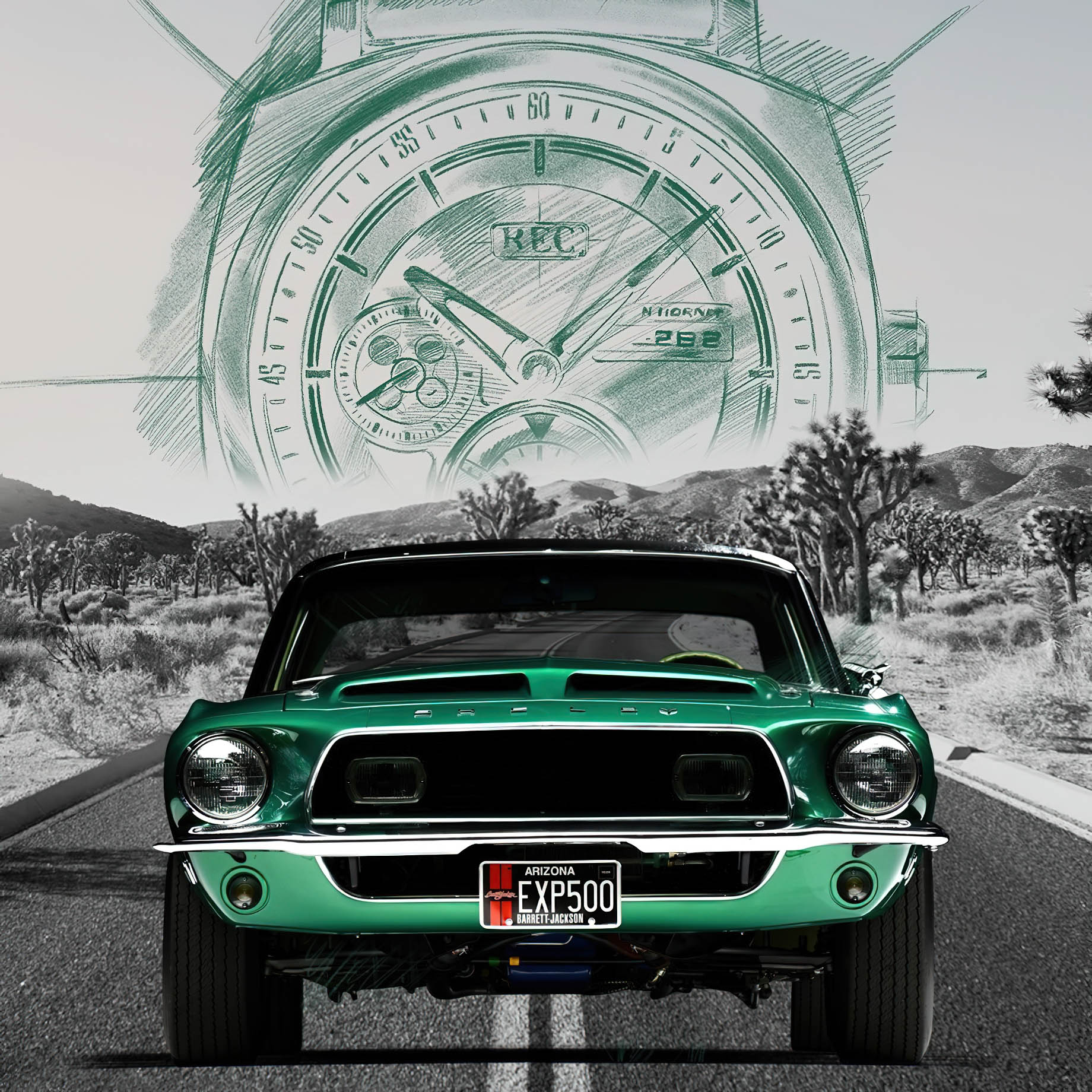 P-51 Green Hornet Limited Collection - REC Watches