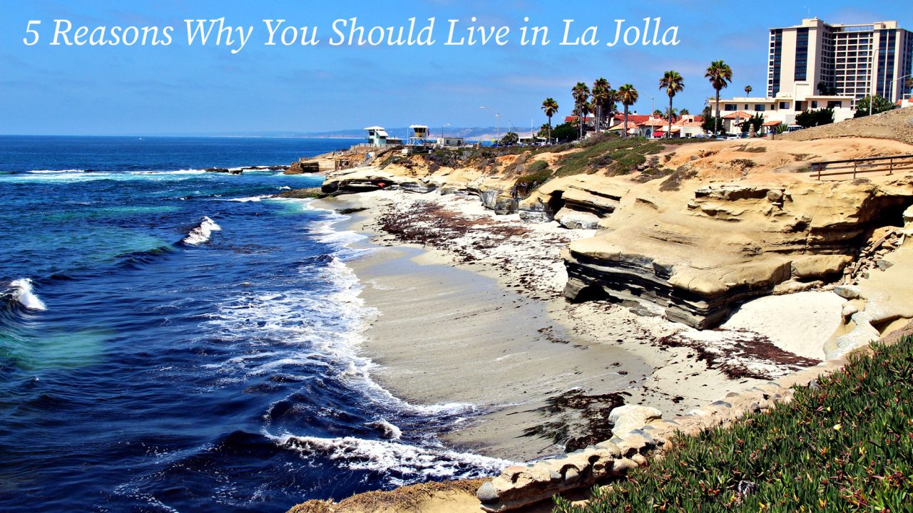 La Jolla Love - 5 Reasons Why You Should Live in La Jolla