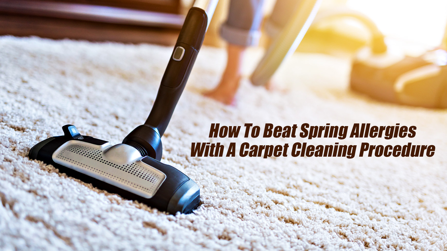 How To Beat Spring Allergies With A Carpet Cleaning Procedure