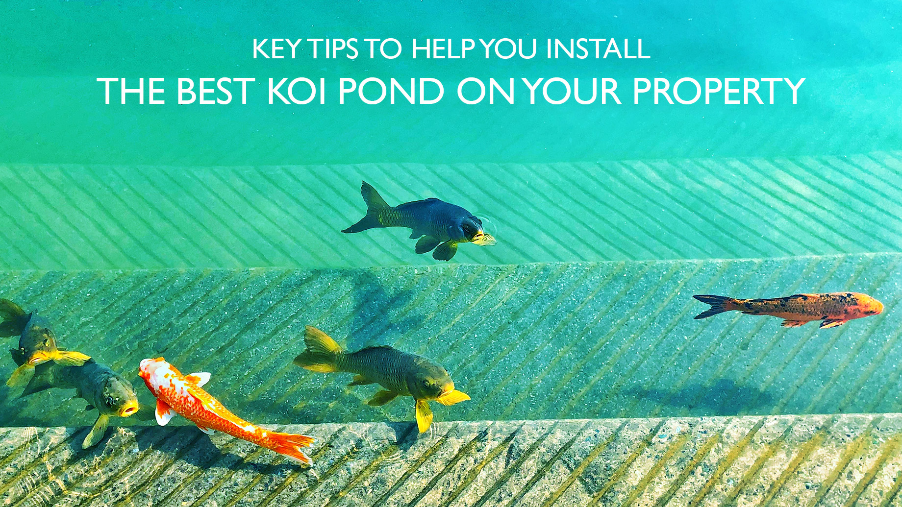Key Tips to Help You Install the Best Koi Pond on Your Property