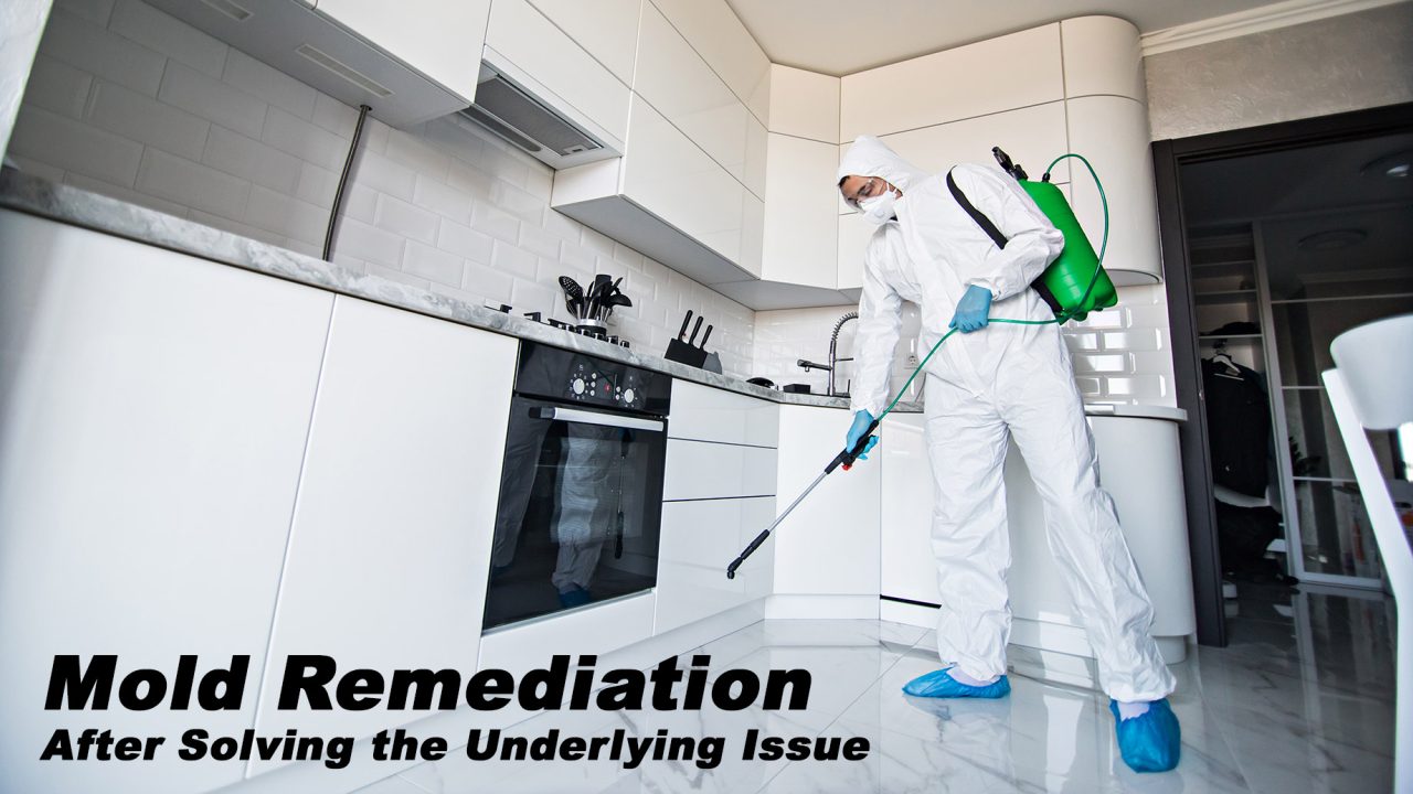 Mold Remediation - After Solving the Underlying Issue