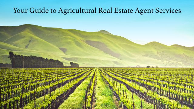 Your Guide to Agricultural Real Estate Agent Services