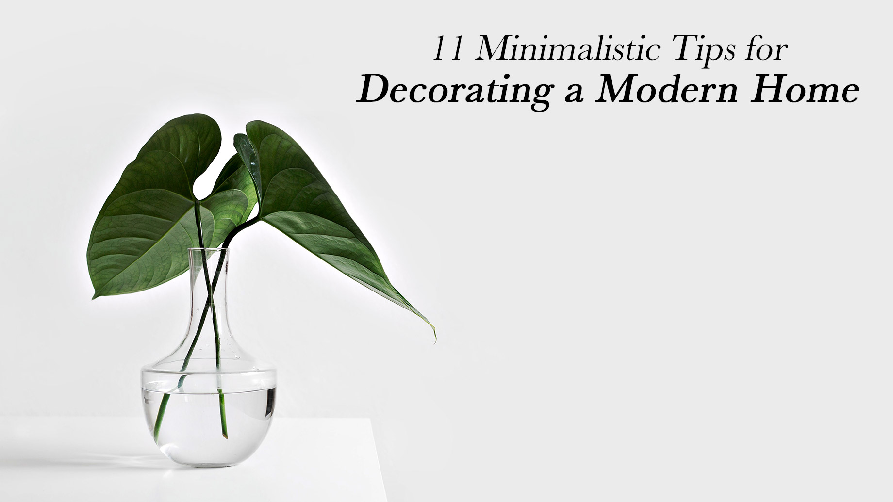 11 Minimalistic Tips for Decorating a Modern Home
