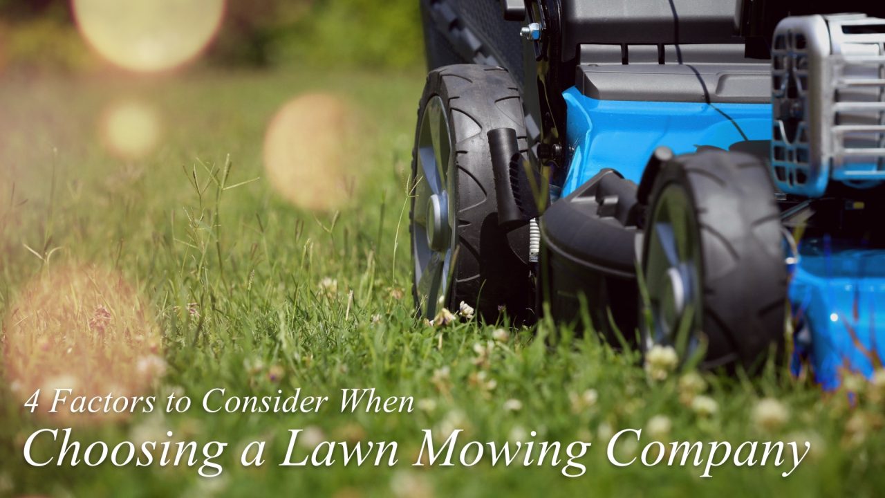 4 Factors to Consider When Choosing a Lawn Mowing Company