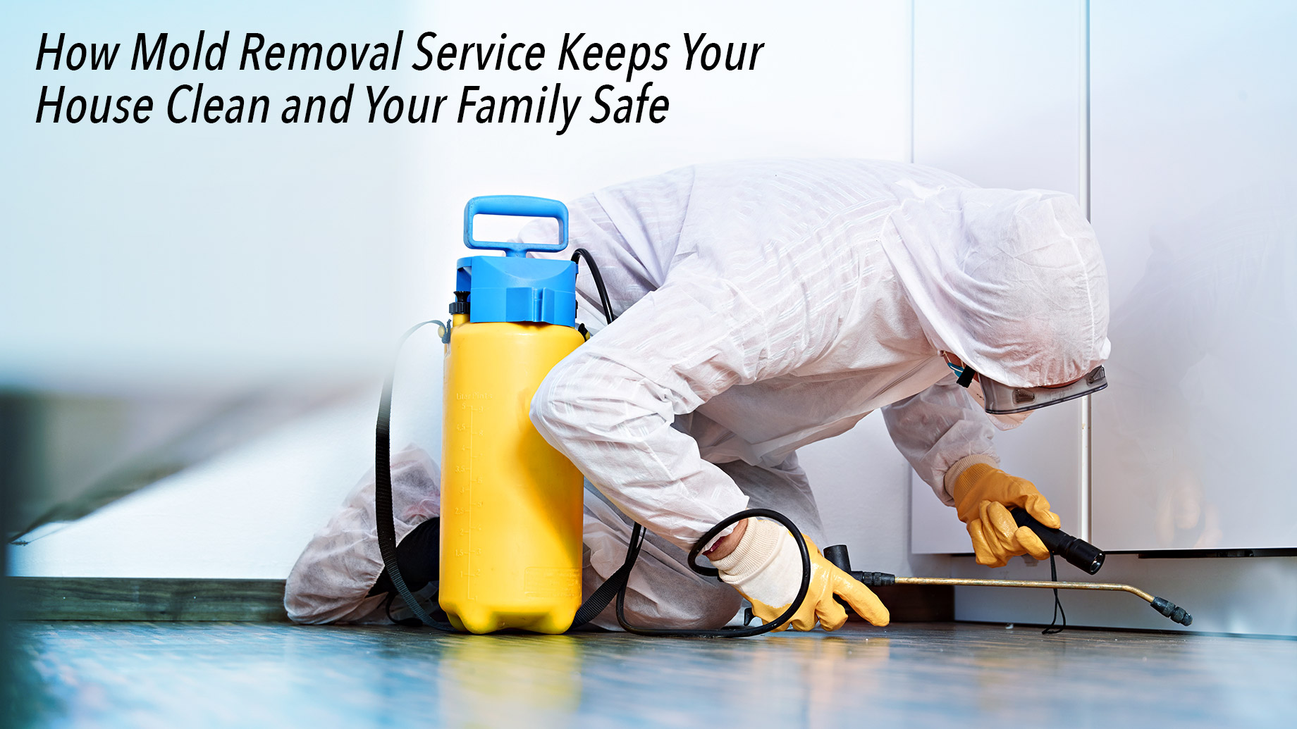 How Mold Removal Service Keeps Your House Clean and Your Family Safe – The  Pinnacle List