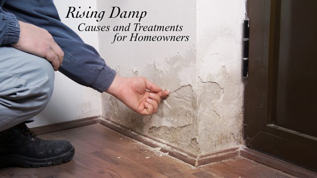 Rising Damp - Causes and Treatments for Homeowners