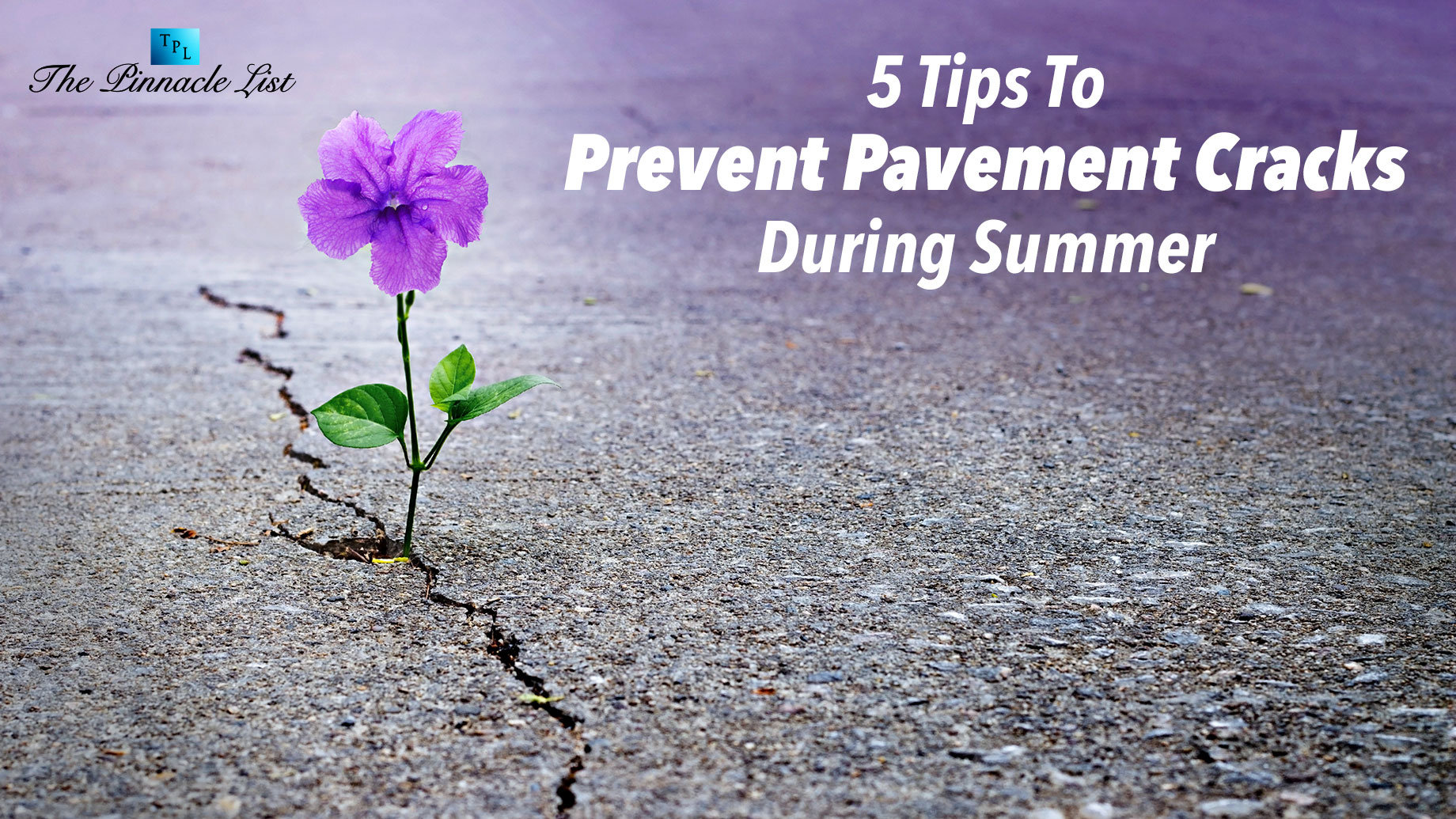 5 Tips To Prevent Pavement Cracks During Summer