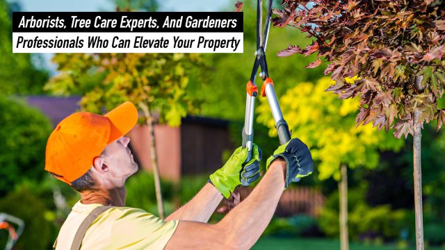 Arborists, Tree Care Experts, And Gardeners - Professionals Who Can Elevate Your Property