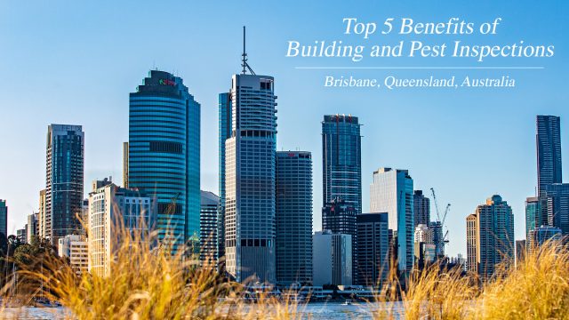 Top 5 Benefits of Building and Pest Inspections in Brisbane, Australia