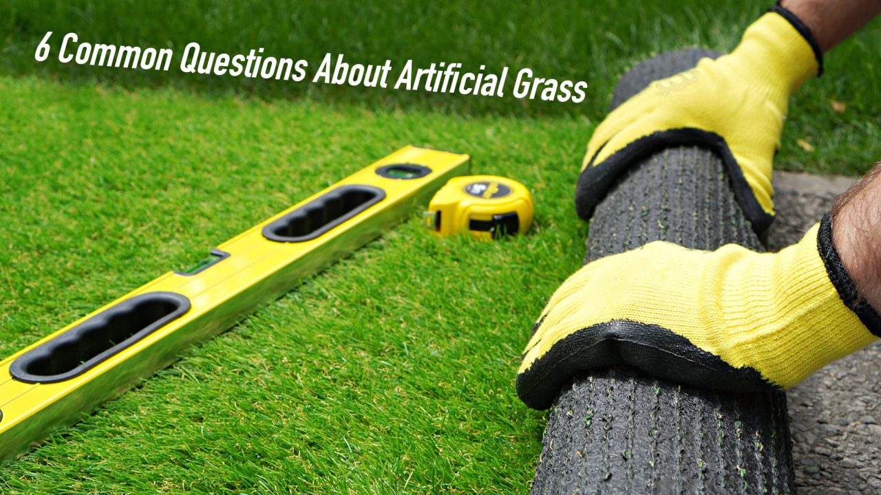 6 Common Questions About Artificial Grass
