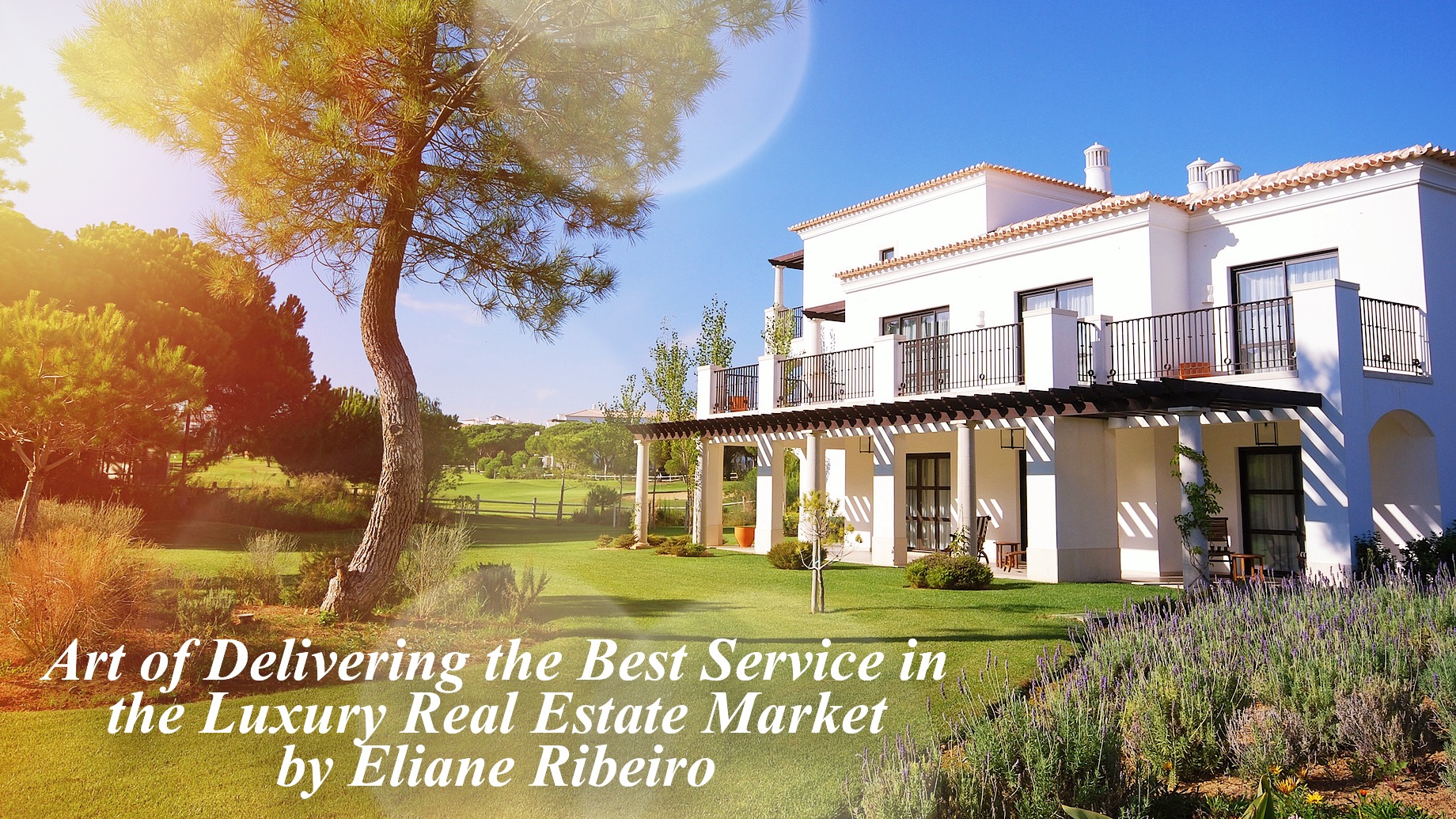 Art of Delivering the Best Service in the Luxury Real Estate Market by Eliane Ribeiro