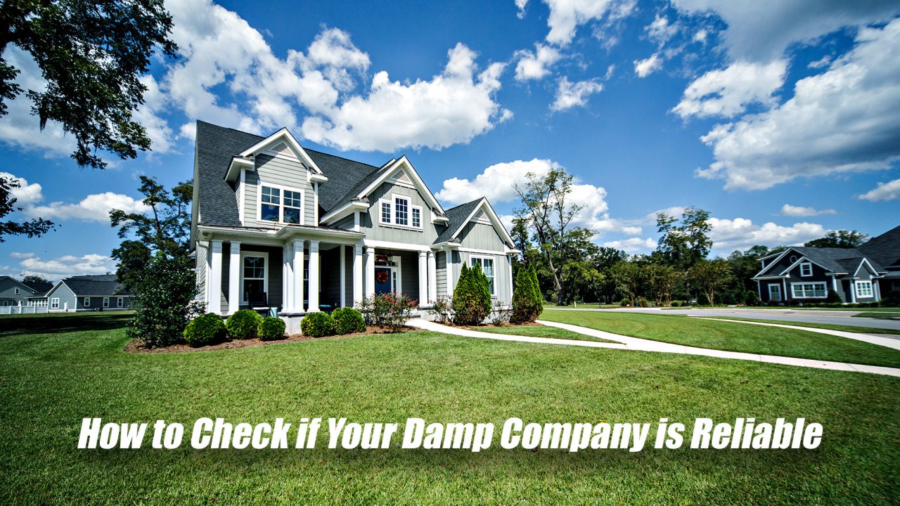How to Check if Your Damp Company is Reliable