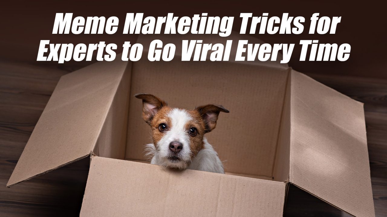 Meme Marketing Tricks for Experts to Go Viral Every Time
