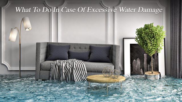 What To Do In Case Of Excessive Water Damage