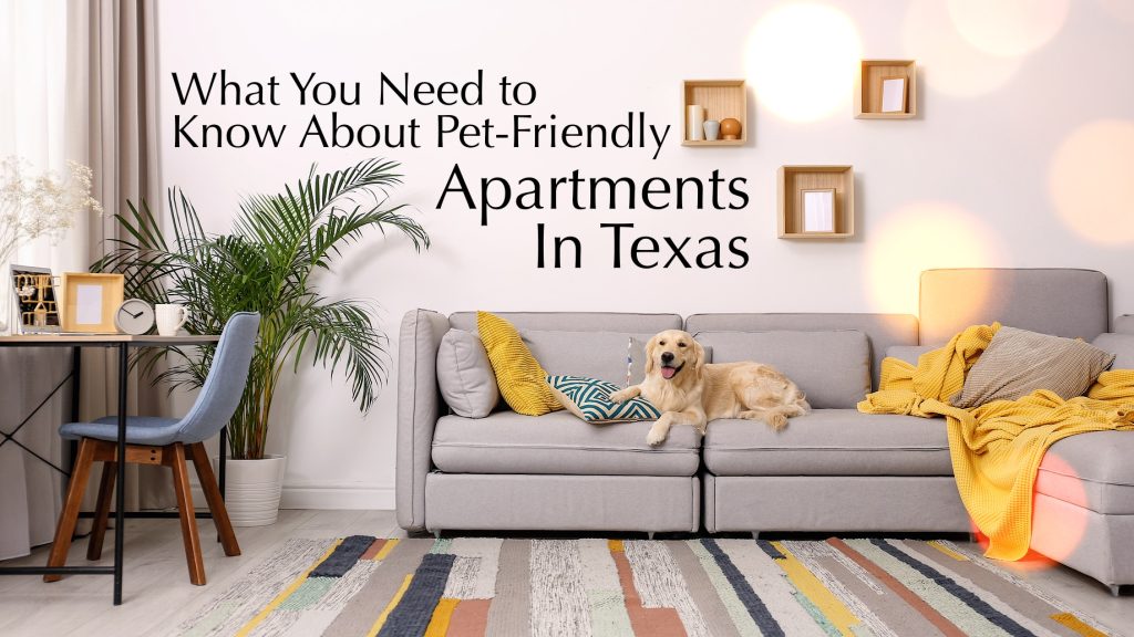 What You Need to Know About PetFriendly Apartments in Texas The