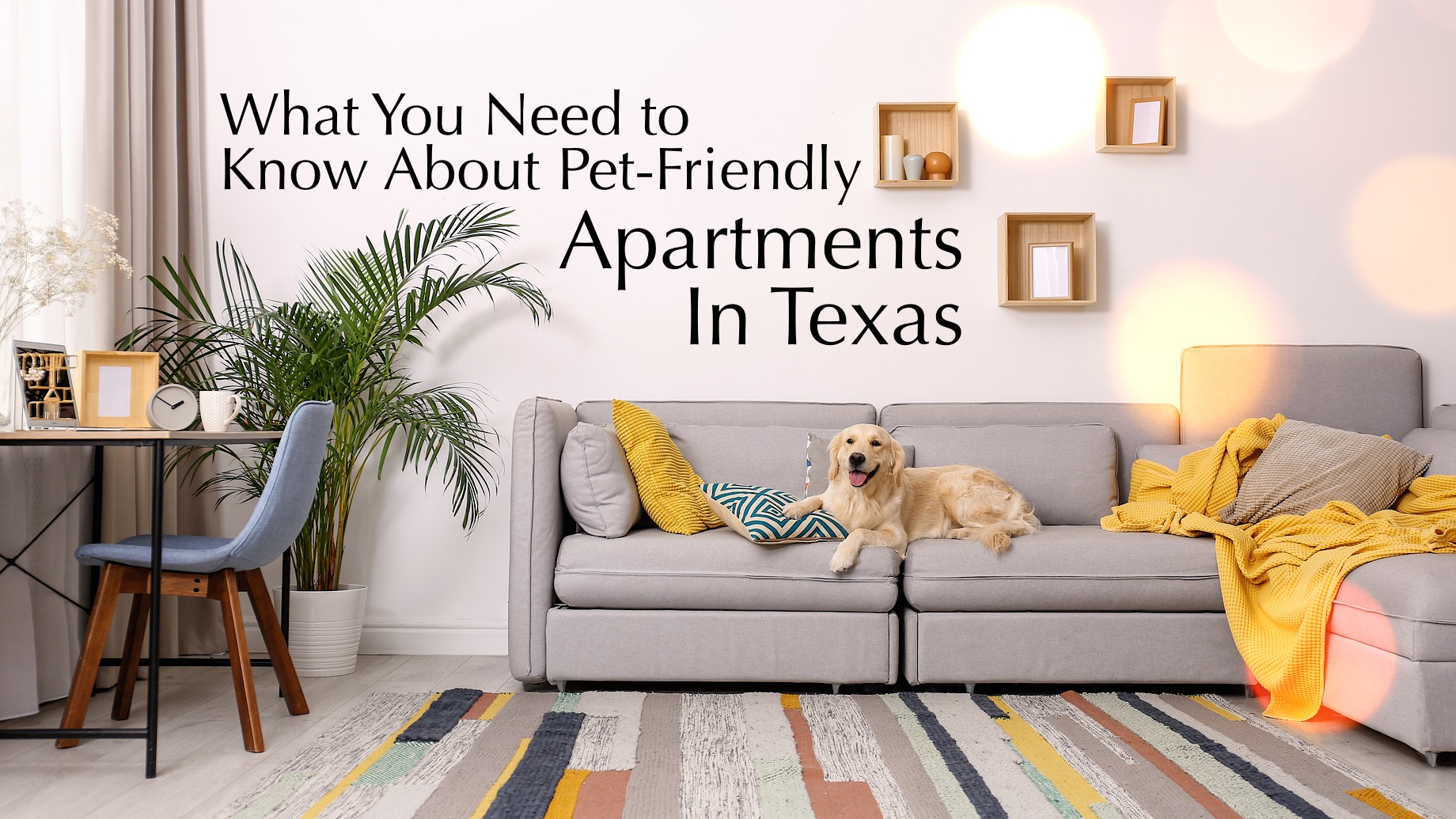 What You Need to Know About Pet-Friendly Apartments in Texas