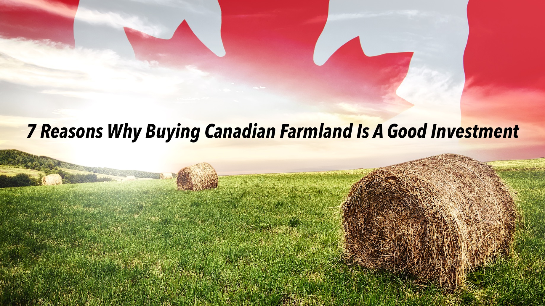 7 Reasons Why Buying Canadian Farmland Is A Good Investment
