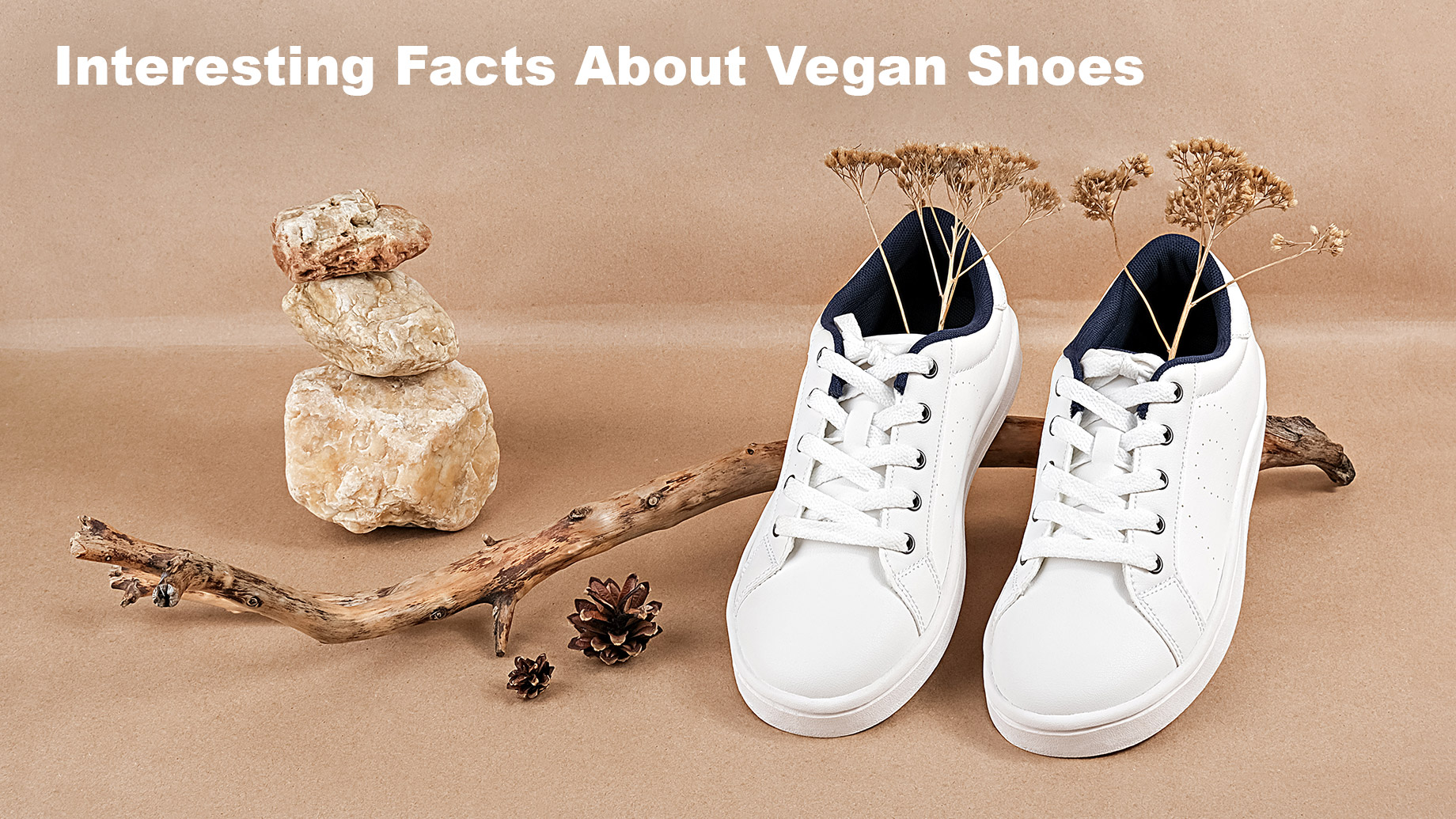 Interesting Facts About Vegan Shoes