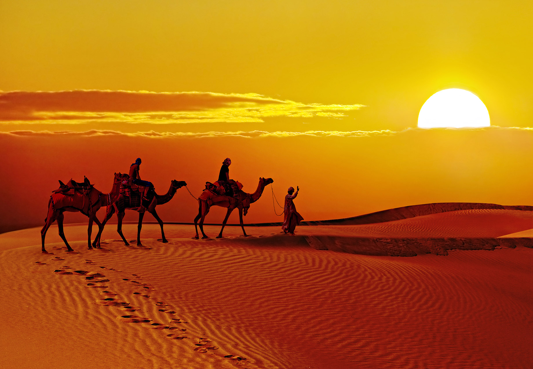 Jaisalmer Golden Desert at Sunset - Rajasthan, India