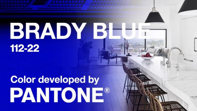 Brady Blue And The Power Of Color-Themed Rooms