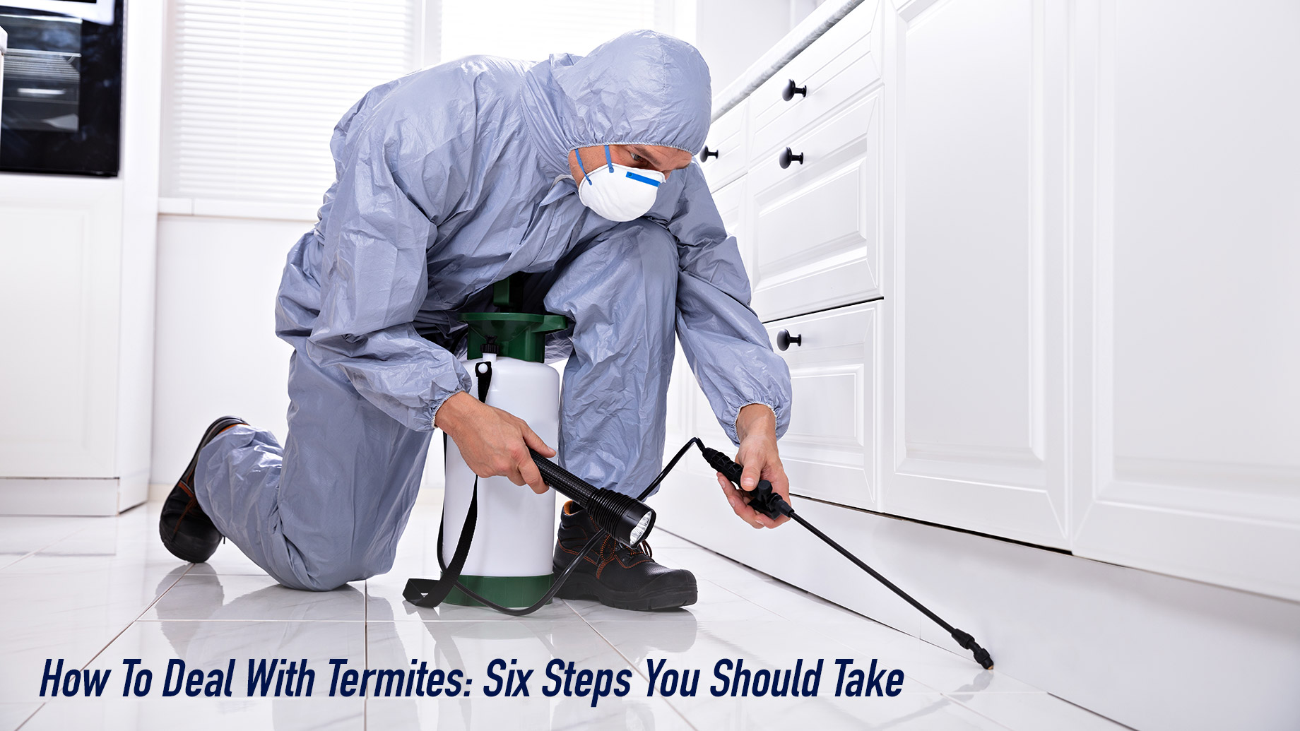 How To Deal With Termites - Six Steps You Should Take