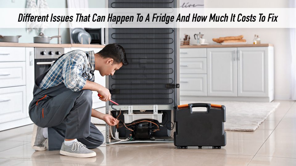 Different Issues That Can Happen To A Fridge And How Much It Costs To
