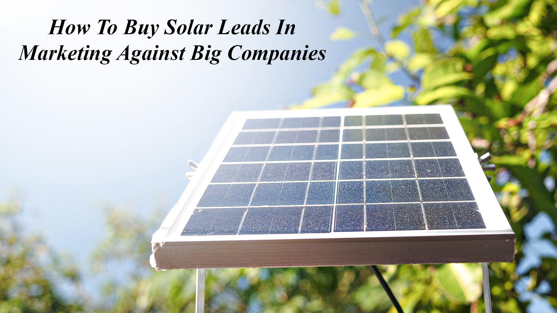 How To Buy Solar Leads In Marketing Against Big Companies