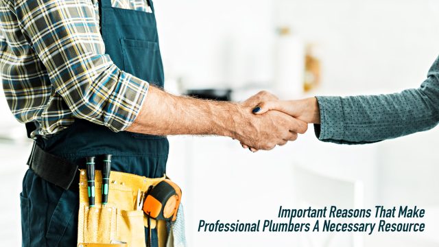 Important Reasons That Make Professional Plumbers A Necessary Resource