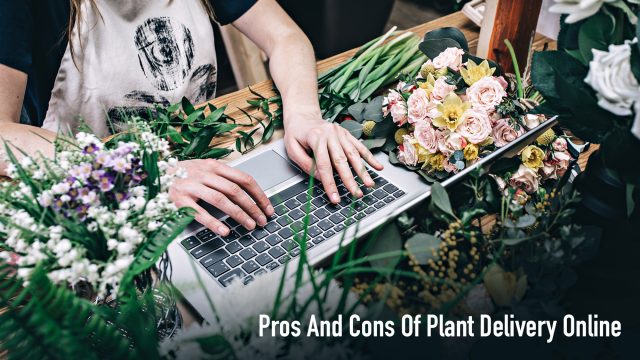 Pros And Cons Of Plant Delivery Online