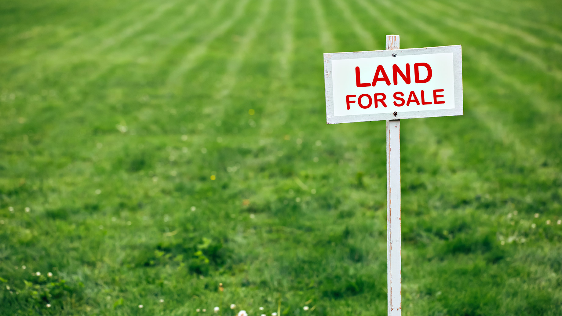 Land For Sale