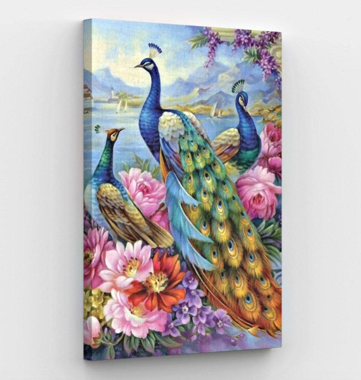 Peacock Canvas Art
