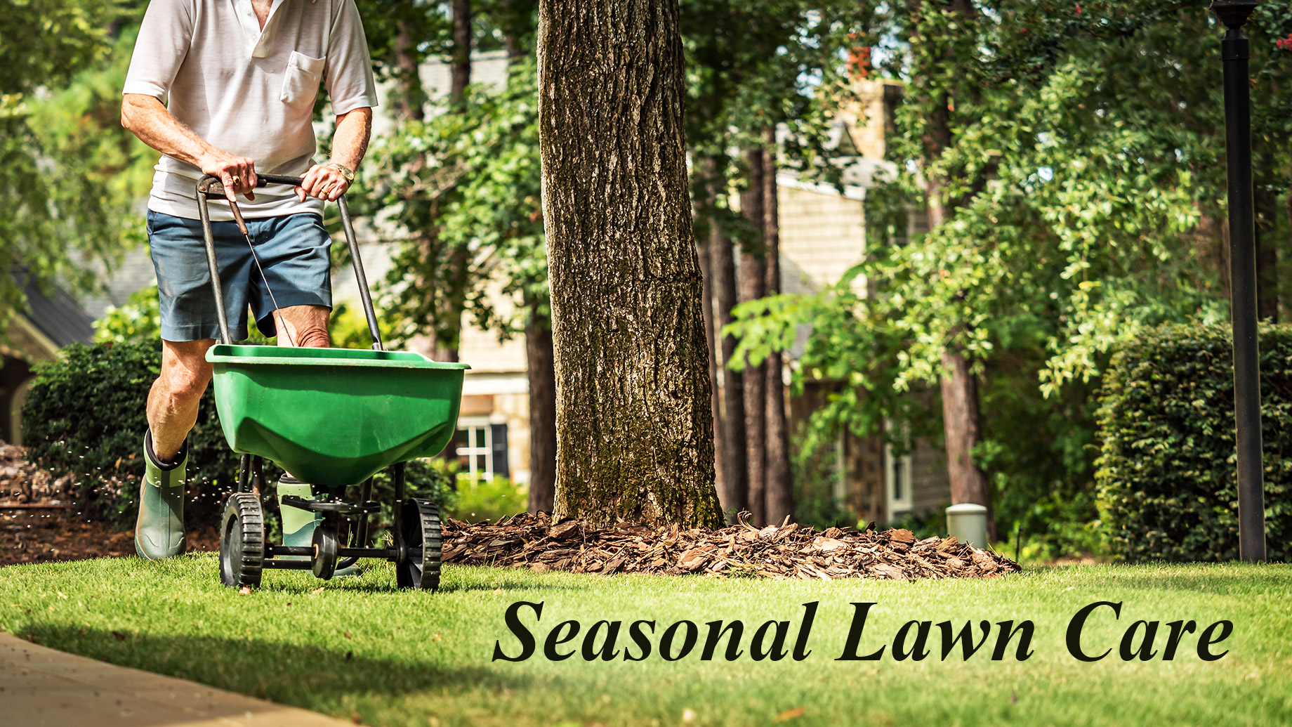 Seasonal Lawn Care