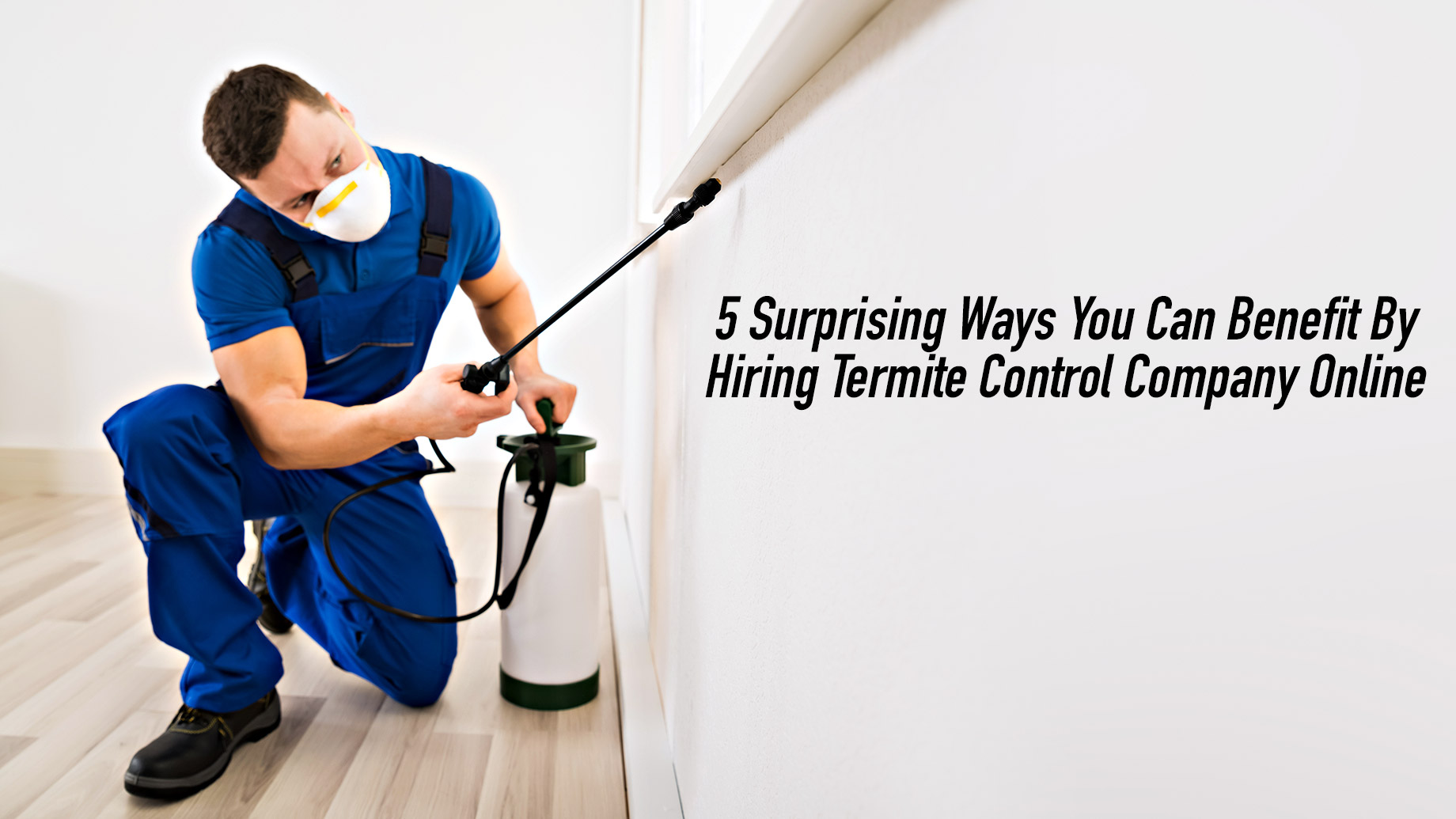 5 Surprising Ways You Can Benefit By Hiring A Termite Control Company Online