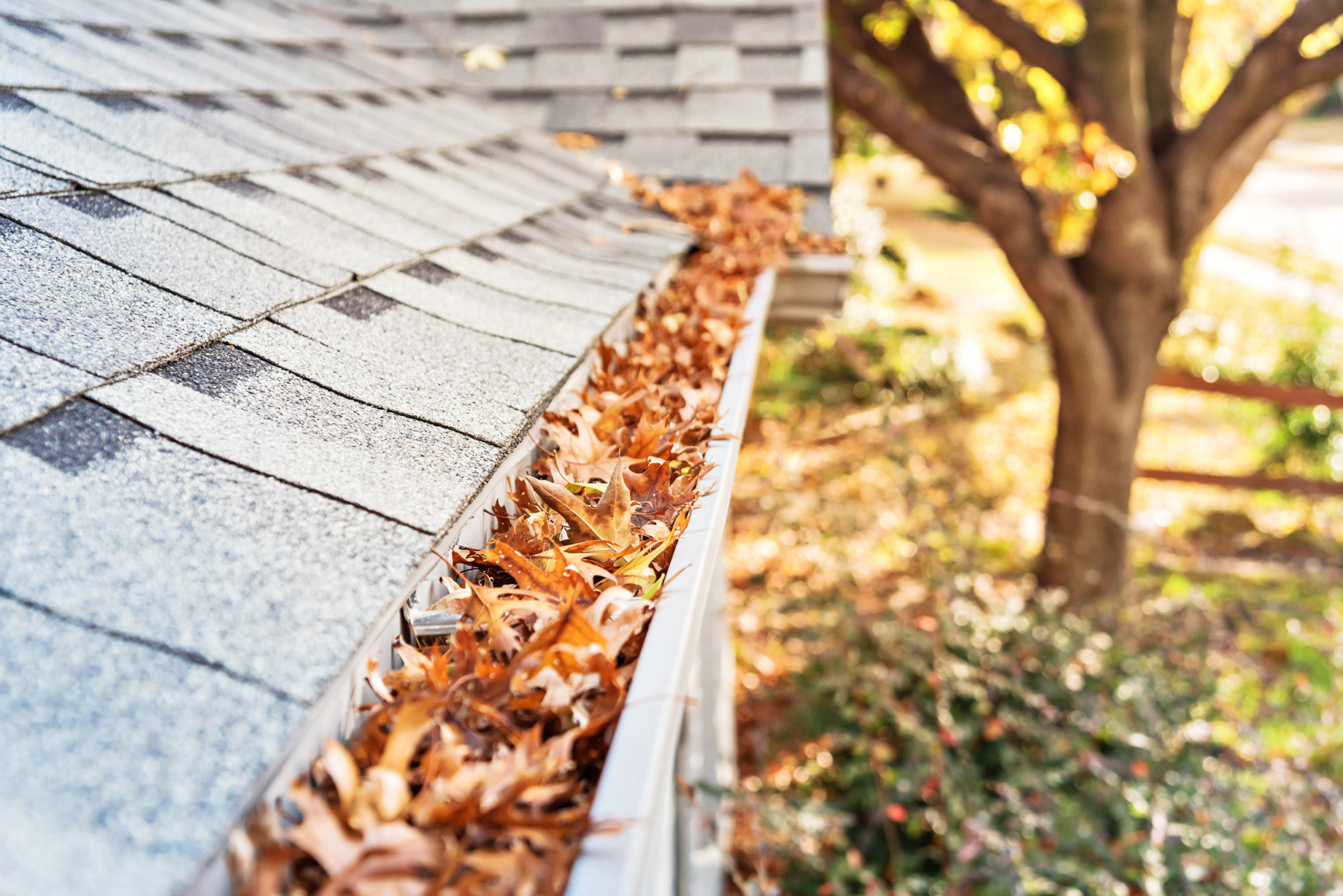 Clogged Gutters with Fall Season Leaves