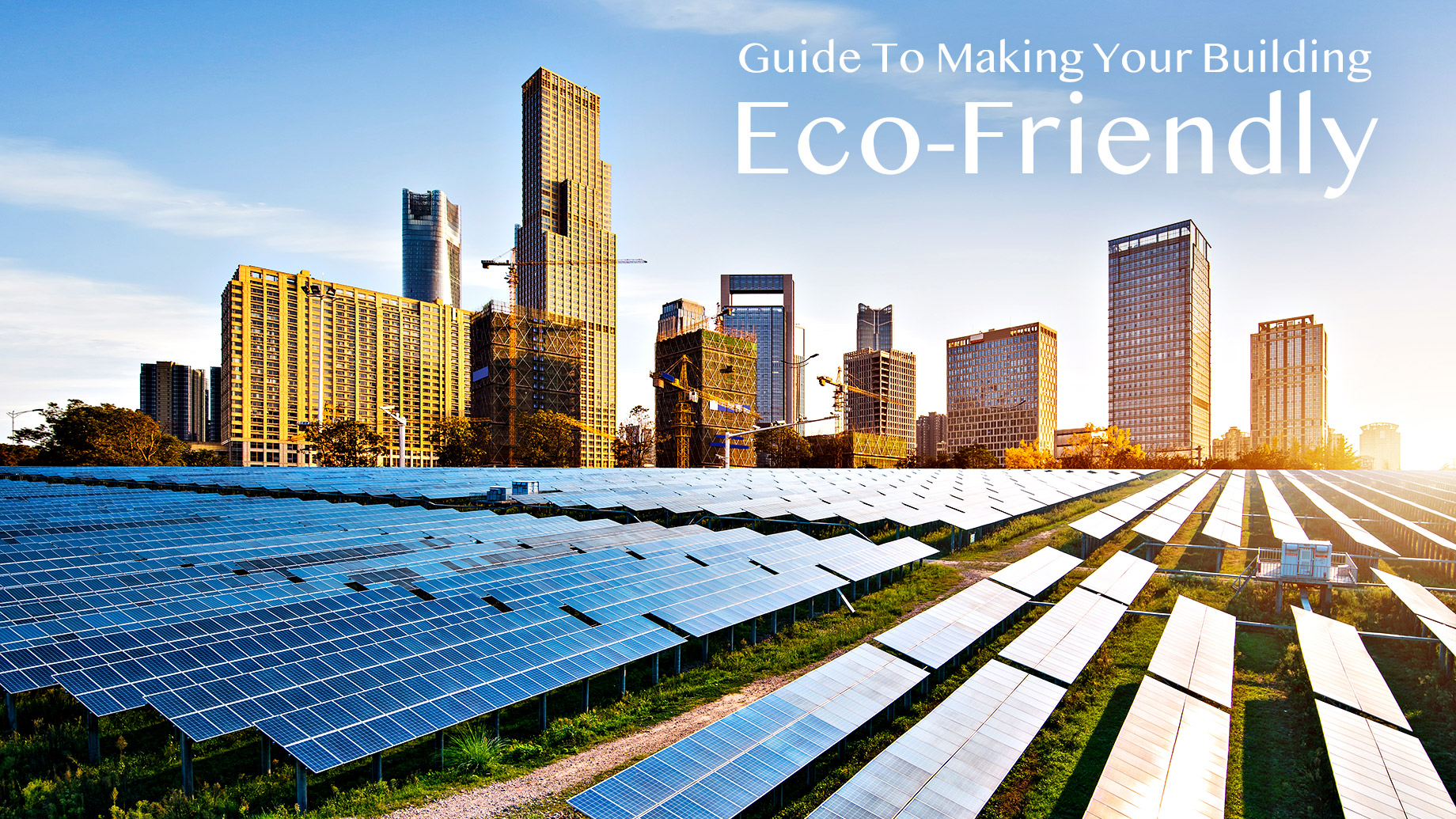 Guide To Making Your Building Eco-Friendly
