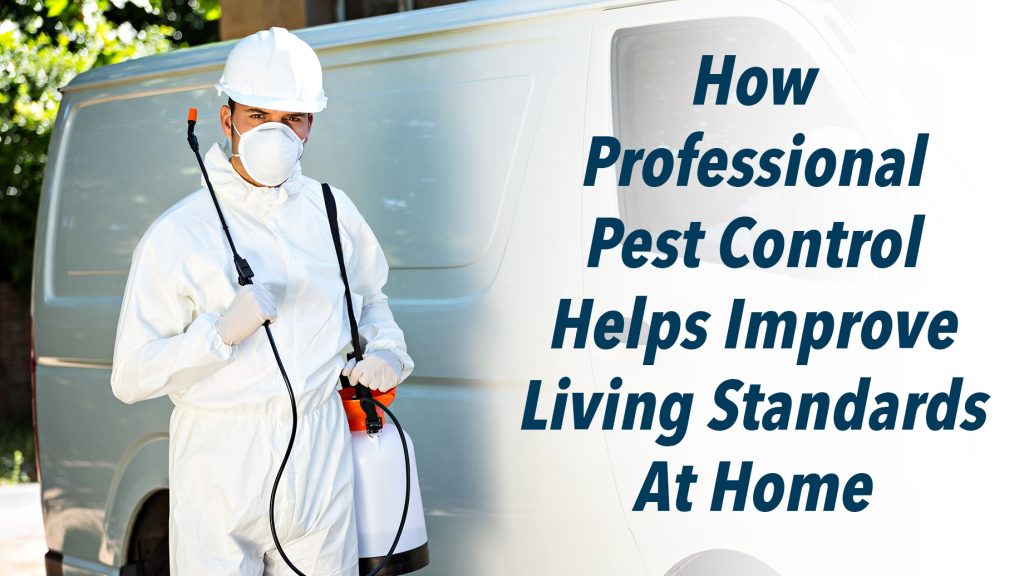 How Professional Pest Control Helps Improve Living Standards At Home ...