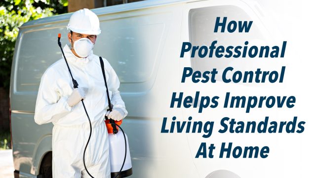 How Professional Pest Control Helps Improve Living Standards At Home