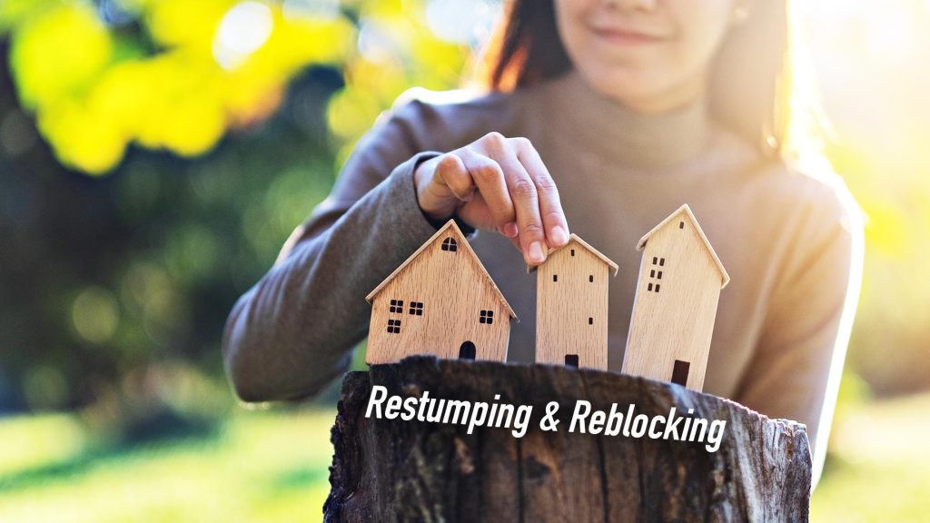 Restumping & Reblocking A Home How It Works The Pinnacle List
