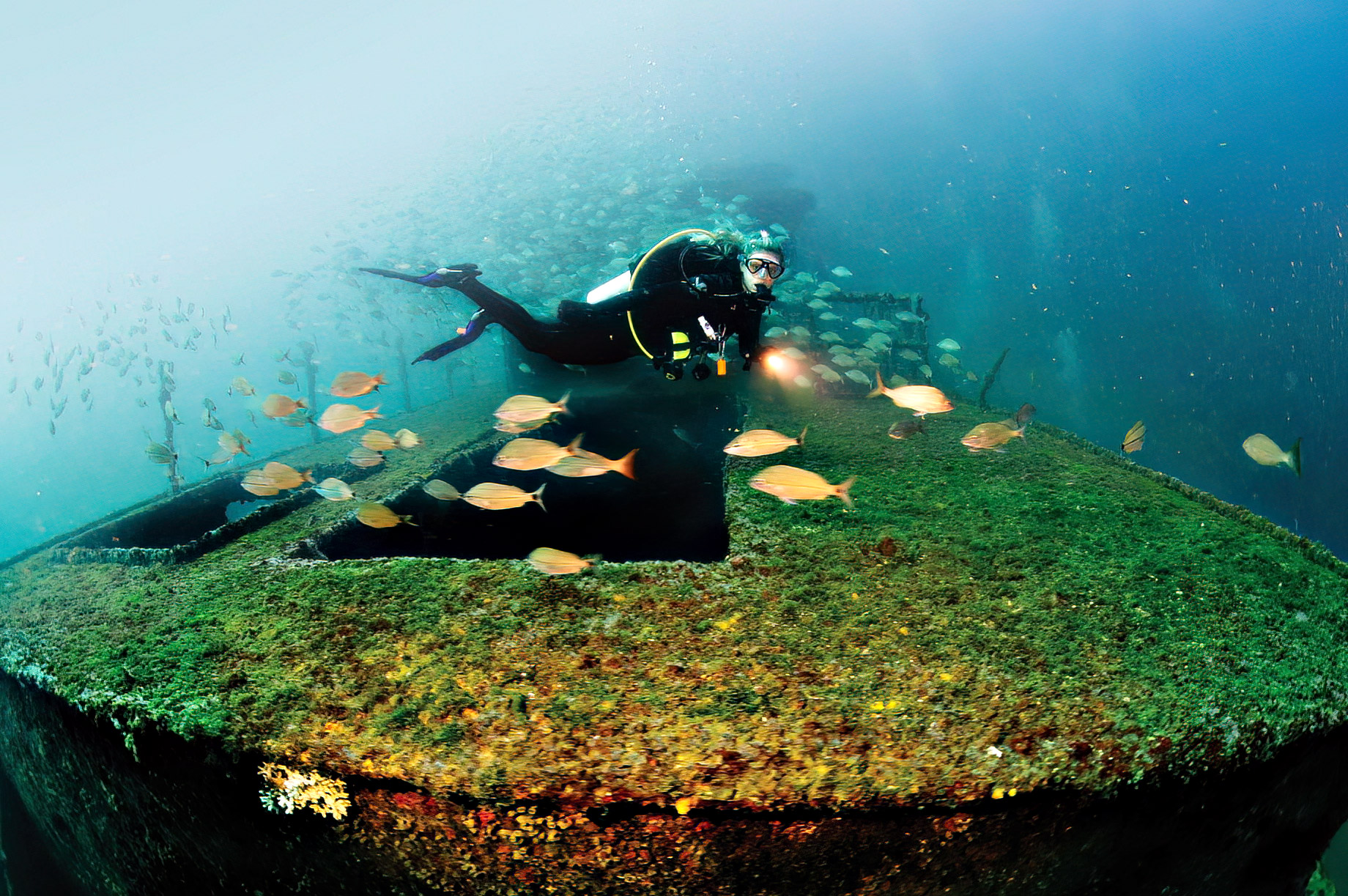 Shipwreck Trail