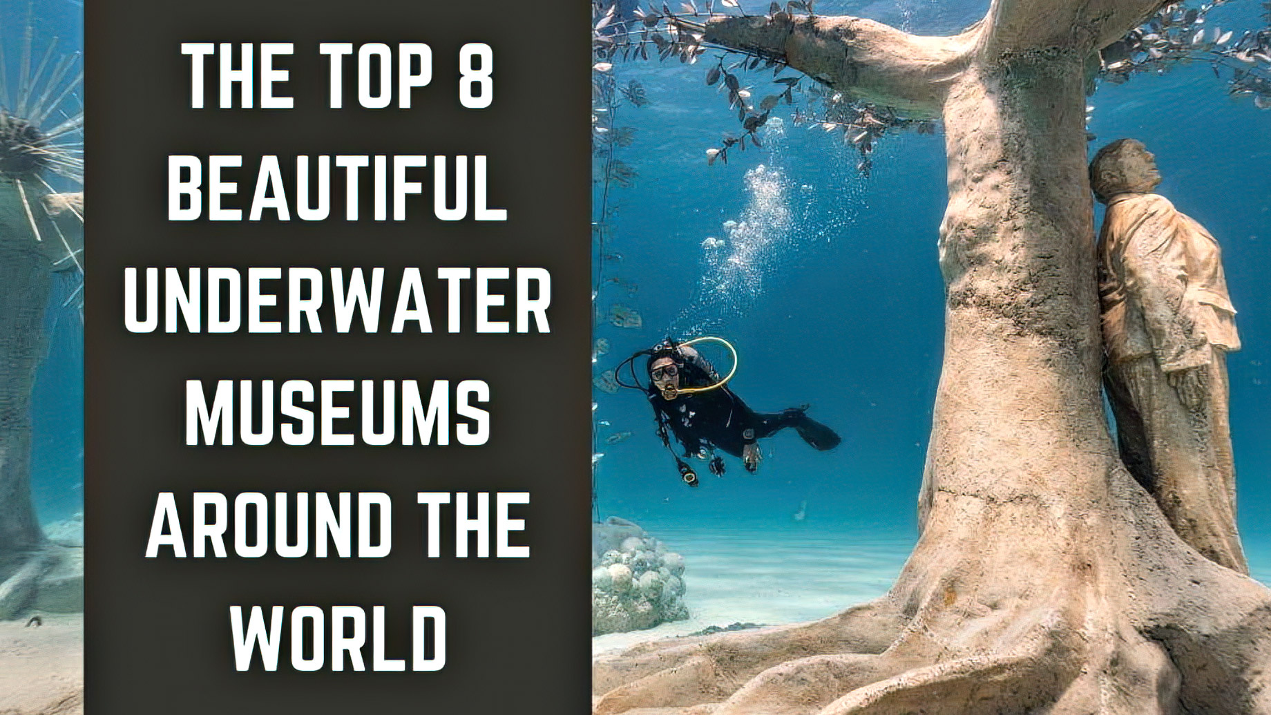 The Top 8 Beautiful Underwater Museums Around The World