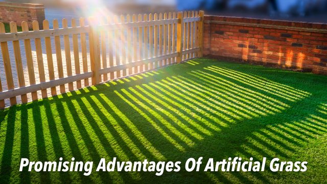 Promising Advantages Of Artificial Grass Unknown To Homeowners
