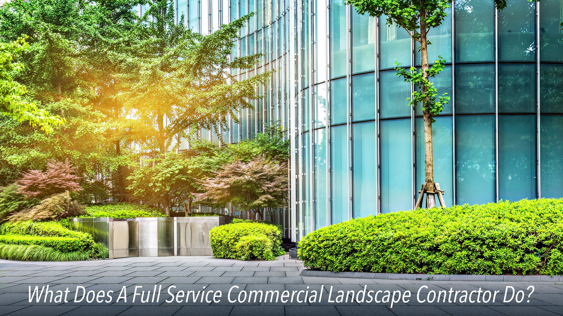 What Does A Full Service Commercial Landscape Contractor Do?