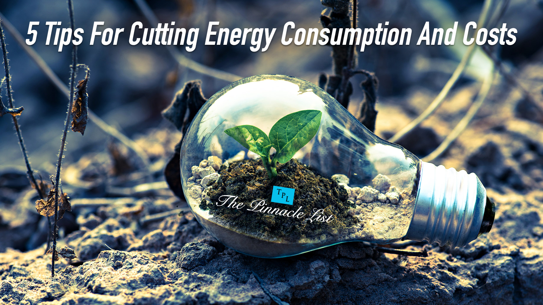 5 Tips For Cutting Energy Consumption And Costs