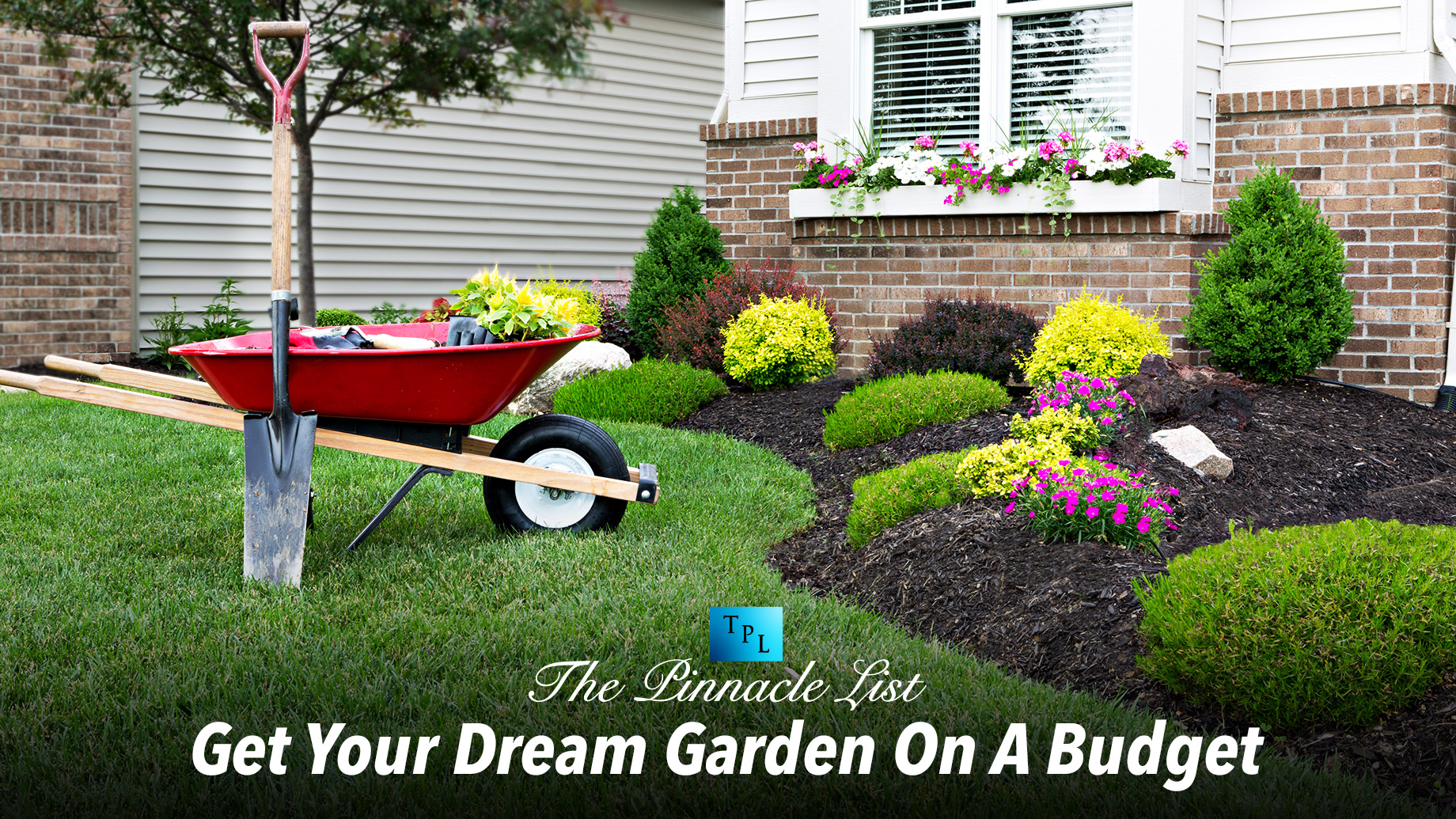 Get Your Dream Garden On A Budget