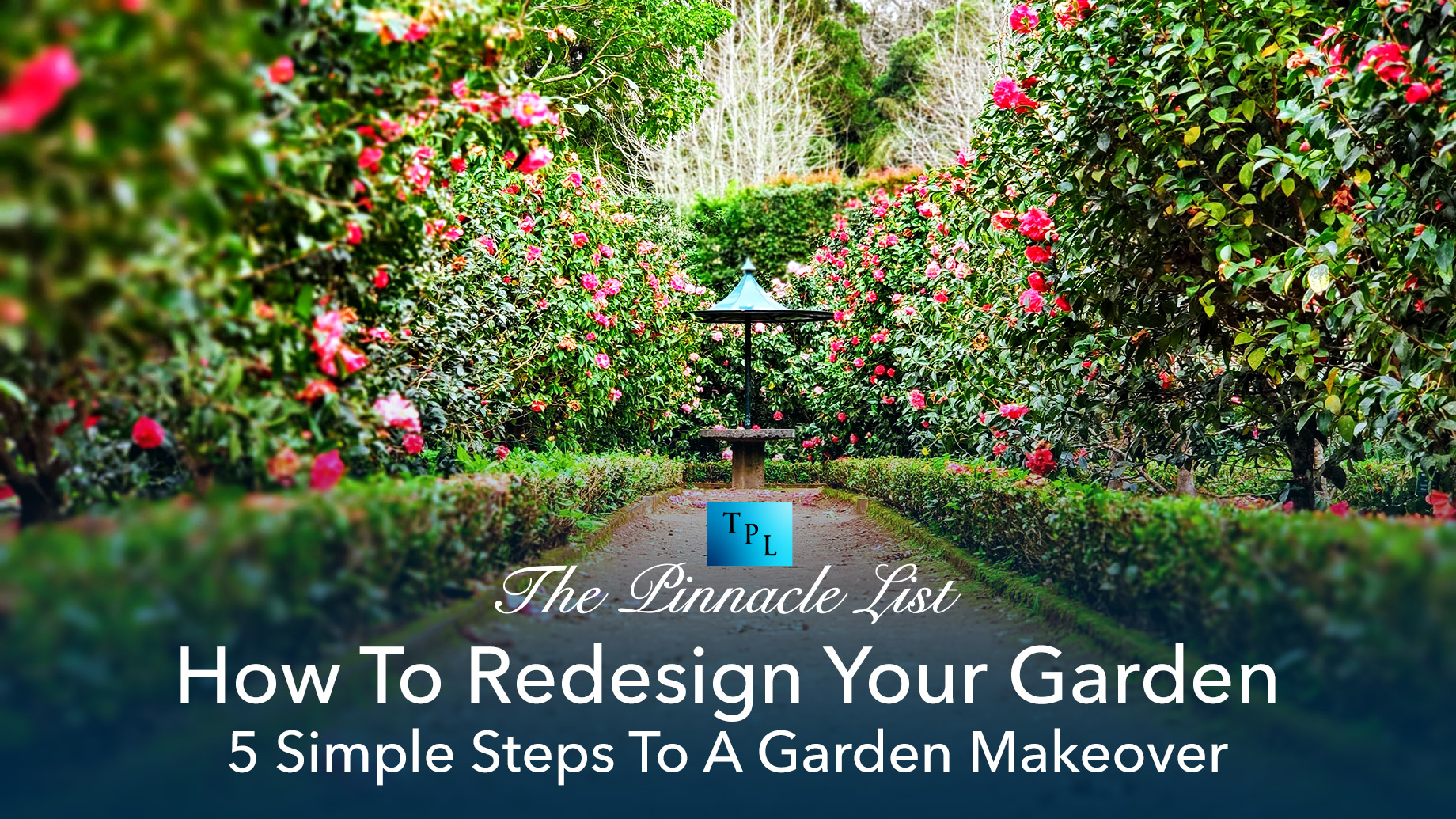 How To Redesign Your Garden - 5 Simple Steps To A Garden Makeover