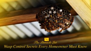 Wasp Control Secrets Every Homeowner Must Know – The Pinnacle List